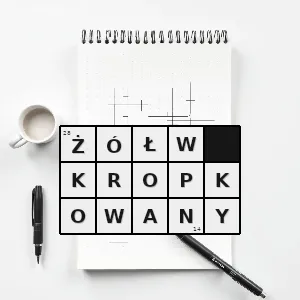 Rozwiązanie krzyżówki: ciołkowie - żółw kropkowany | hasła, synonimy i podpowiedzi Hasło krzyżówkowe ciołkowie - żółw kropkowany – rozwiązanie, synonimy, podpowiedzi i definicje krzyżówkowe